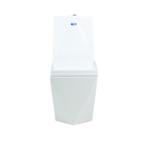 A029 One-piece toilet